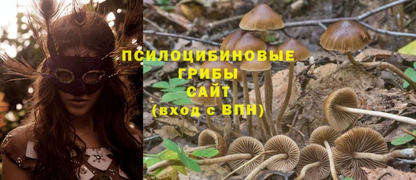 каннабис Осташков
