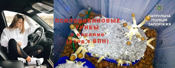 каннабис Осташков