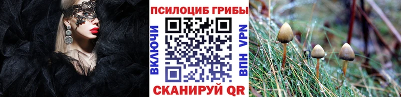 Галлюциногенные грибы MAGIC MUSHROOMS  Стрежевой 