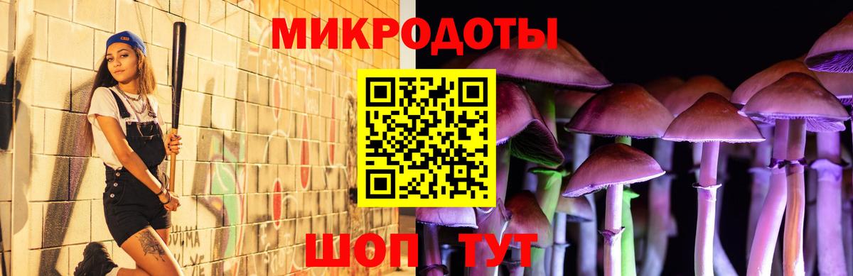 Стрежевой  Псилоцибиновые грибы Magic Shrooms  купить наркотик  Вход с VPN 